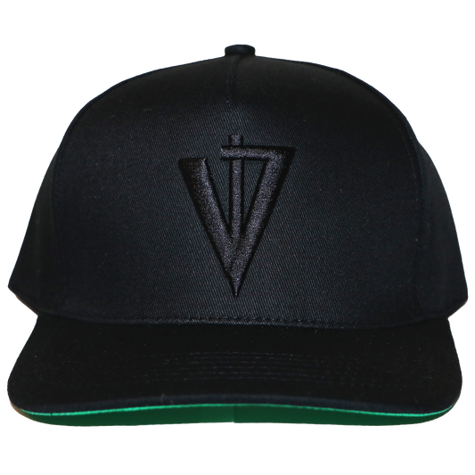Unisex V4 Trademark Black Snapback Hat
